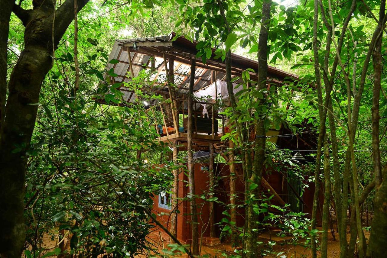 Back Of Beyond - Pidurangala Sigiriya Exterior foto