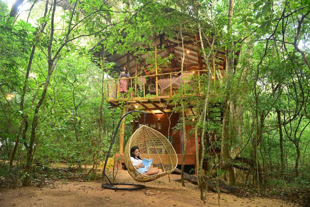Back Of Beyond - Pidurangala Sigiriya Exterior foto