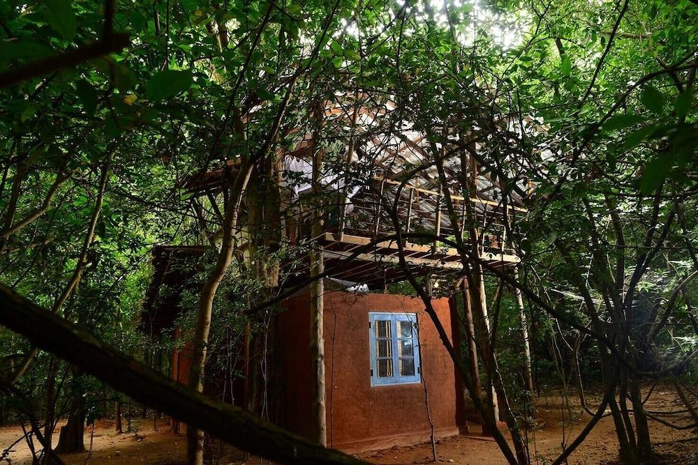 Back Of Beyond - Pidurangala Sigiriya Exterior foto