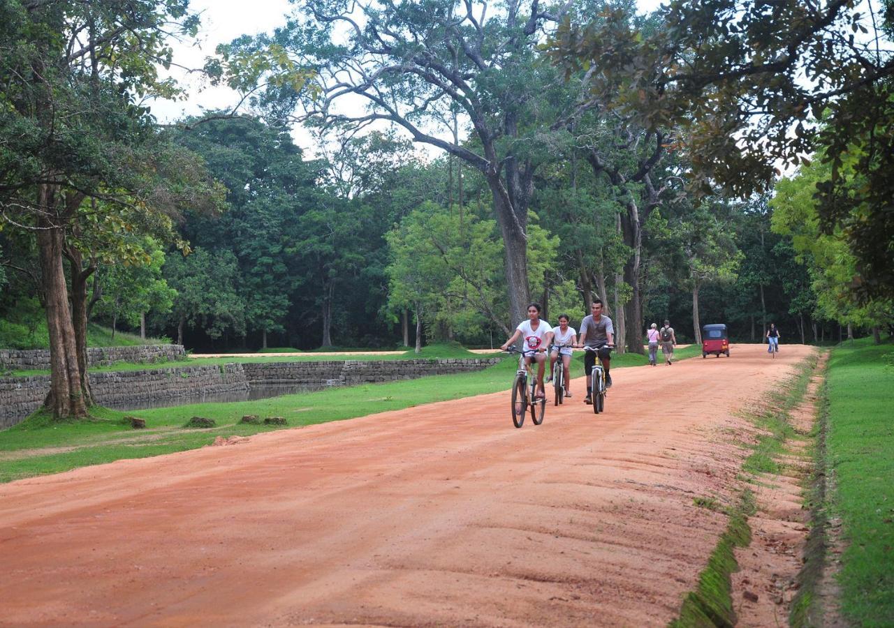 Back Of Beyond - Pidurangala Sigiriya Exterior foto